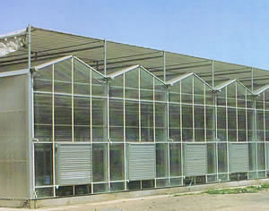 玻璃溫室大棚
