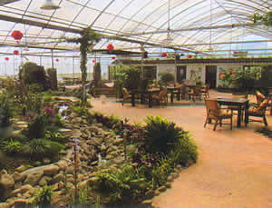 陽光嘉園生態餐廳溫室